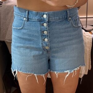 LOFT Light Blue Jean Shorts